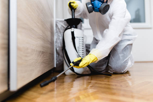 Trusted Montgomery, MN Pest Control Experts