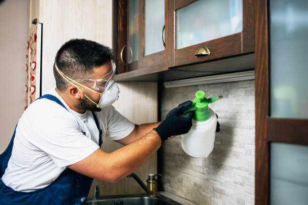 Best Residential Pest Control  in Montgomery, MN