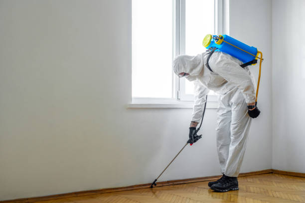 Best Pest Control for Homes  in Montgomery, MN