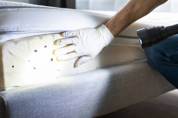 Best Pest Control Near Me in Montgomery, MN