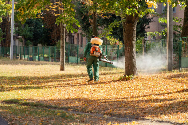 Best Flea Control Services  in Montgomery, MN