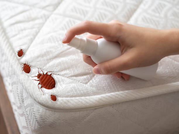 Best Pest Inspection Near Me  in Montgomery, MN