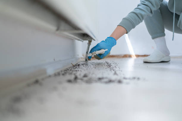 Best Bed Bug Extermination  in Montgomery, MN