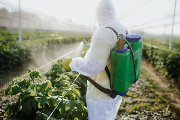 Best Best Pest Control Near Me  in Montgomery, MN